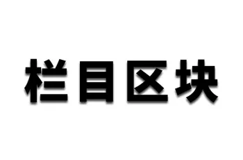 WP企业网站文章区块使用教程：栏目