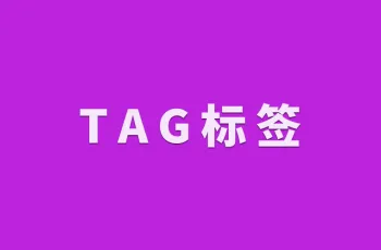 TAG标签