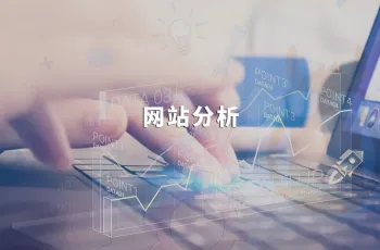 神马站长平台使用教程:网站分析
