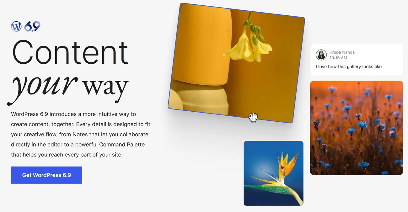 wordpress 6.9更新发布 代号为「Gene」(附更新失败的解决方法)-悦然wordpress建站 wordpress 6.9更新发布 代号为「Gene」(附更新失败的解决方法)-悦然wordpress建站